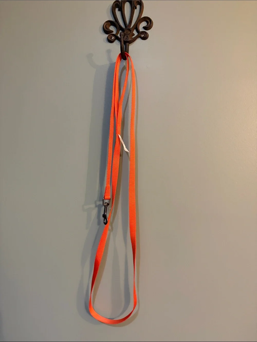 Bright Orange Small Dog or Cat Leash Nylon swivel hook
